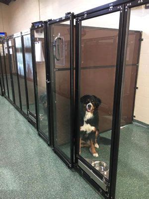 dog boarding stone mountain ga|stone mountain dog daycare.
